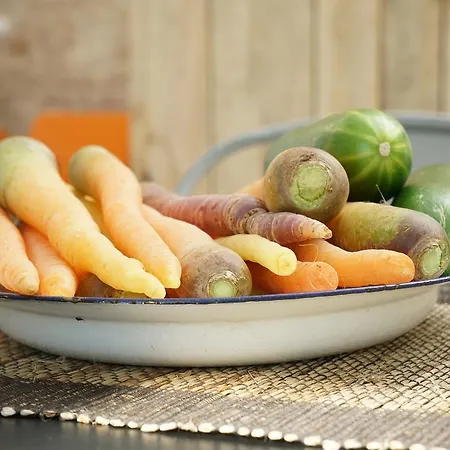 Torlevigne Relax & Pool Polignano a Mare